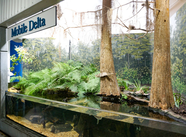 Alabama Aquarium at the Dauphin Island Sea Lab